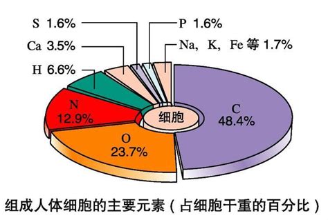 水的名稱|水（一种无机化合物）